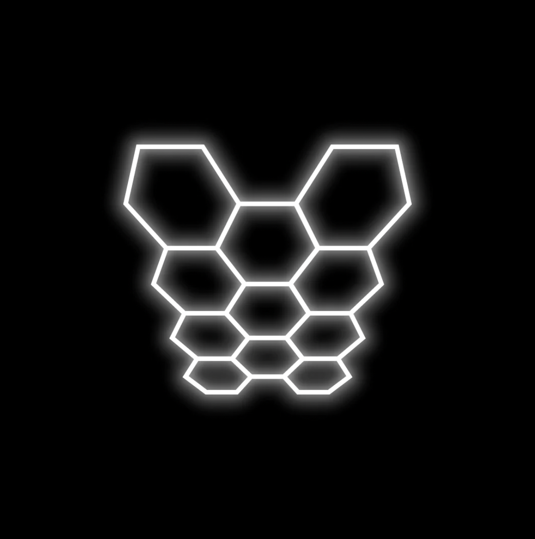 Hexagon Lighting 11 Grid System - Regular